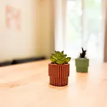 Le T2 De Plain-pied Apartment Clermont-Ferrand